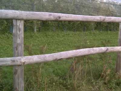 Clôture pour chevaux