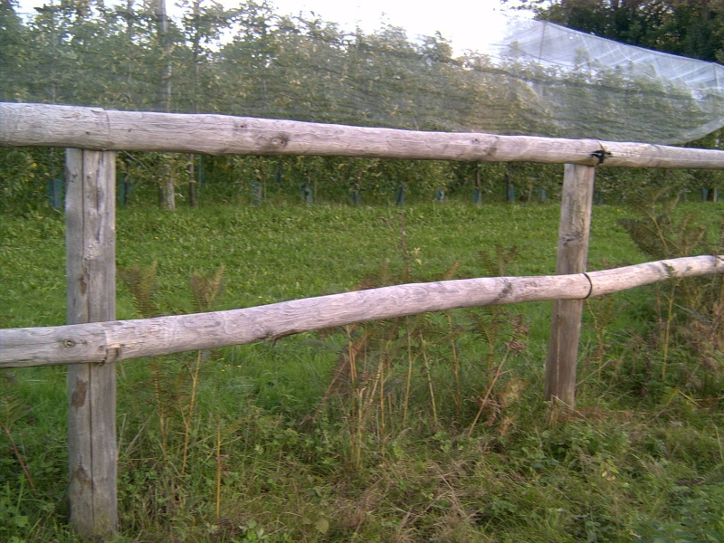 Clôture pour chevaux