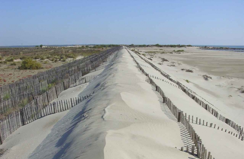 Restauration de cordons dunaires - Plage de l’Espiguette (30)